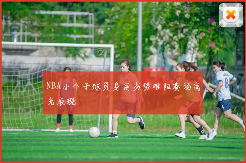 NBA小个子球员身高劣势难阻赛场高光表现