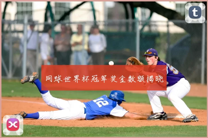 网球世界杯冠军奖金数额揭晓