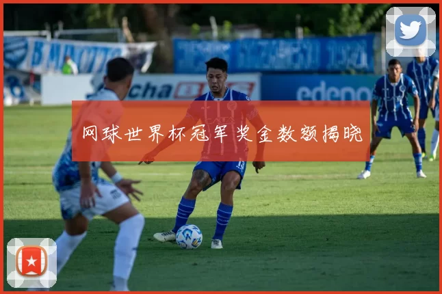 网球世界杯冠军奖金数额揭晓