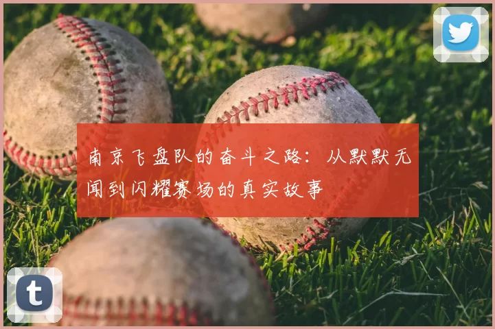 南京飞盘队的奋斗之路：从默默无闻到闪耀赛场的真实故事