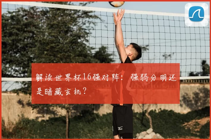 解读世界杯16强对阵：强弱分明还是暗藏玄机？