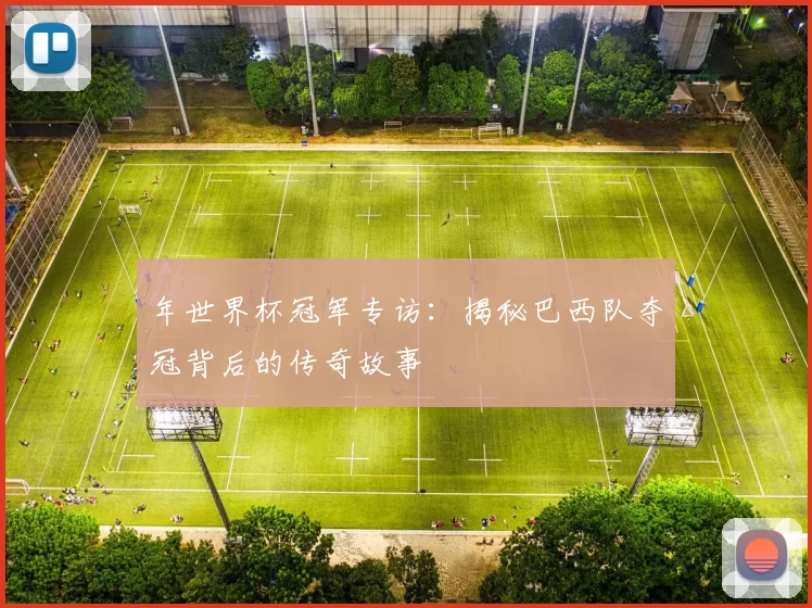 年世界杯冠军专访：揭秘巴西队夺冠背后的传奇故事