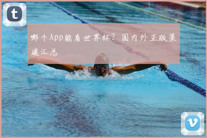 哪个App能看世界杯？国内外正版渠道汇总