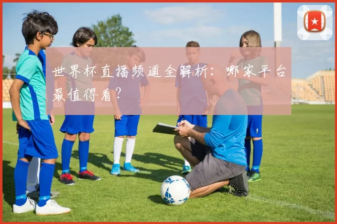 世界杯直播频道全解析：哪家平台最值得看？