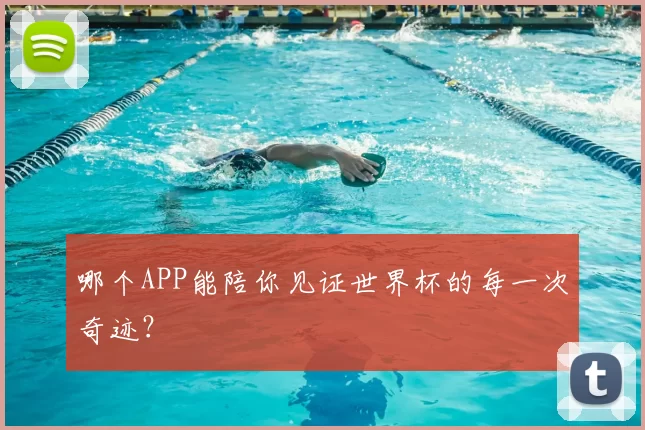 哪个APP能陪你见证世界杯的每一次奇迹？