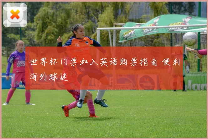 世界杯门票加入英语购票指南 便利海外球迷