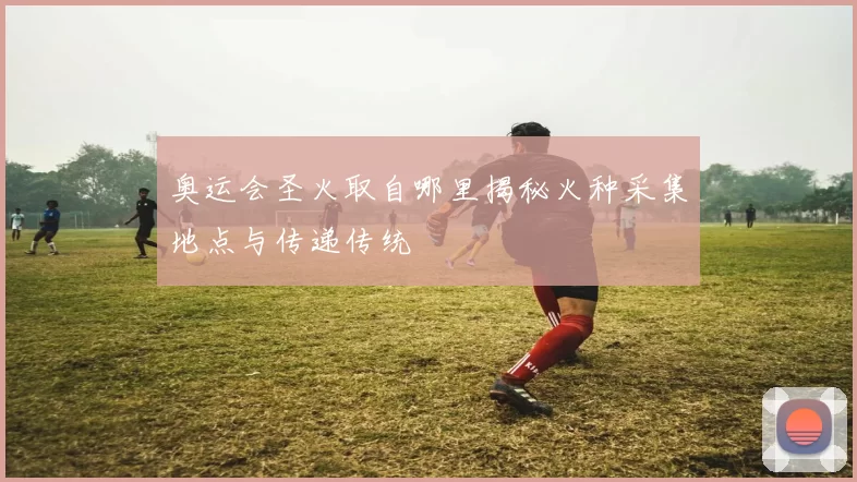 奥运会圣火取自哪里揭秘火种采集地点与传递传统